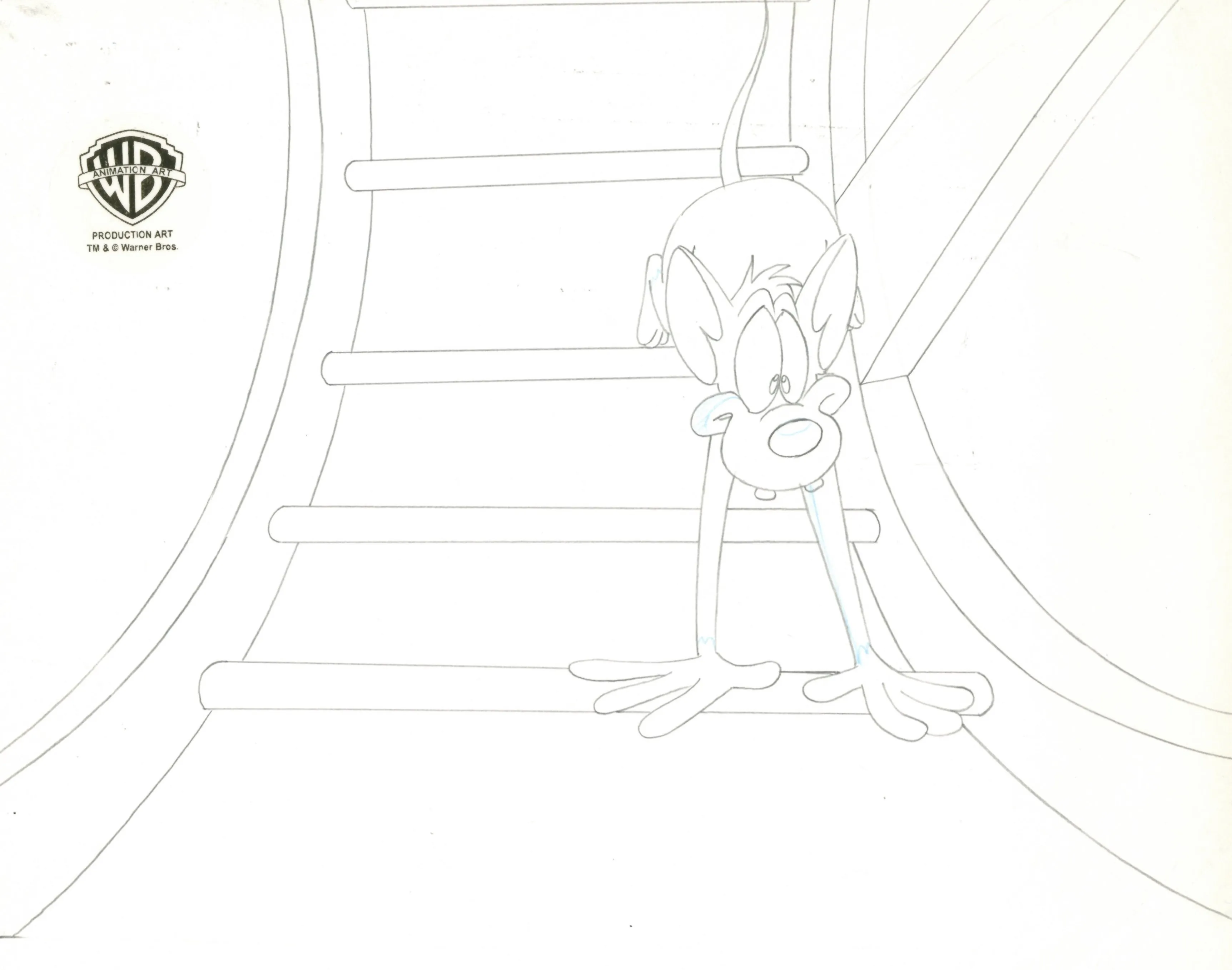 Pinky And The Brain Original Production Cel with Matching Drawing Signed by Tom Ruegger: Pinky, Brain
