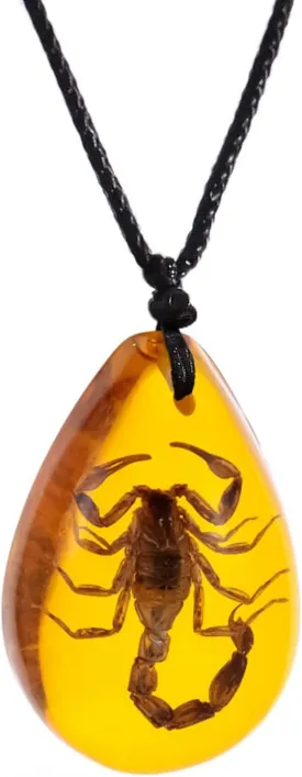 POYAMUSE Real Scorpion Pendant Necklace for Men and Women - Resin Bug Necklace, Scorpion Pendant Necklace - Amber Insect Necklace